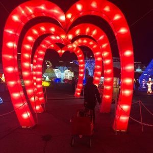 Meet your Posher, Bobby